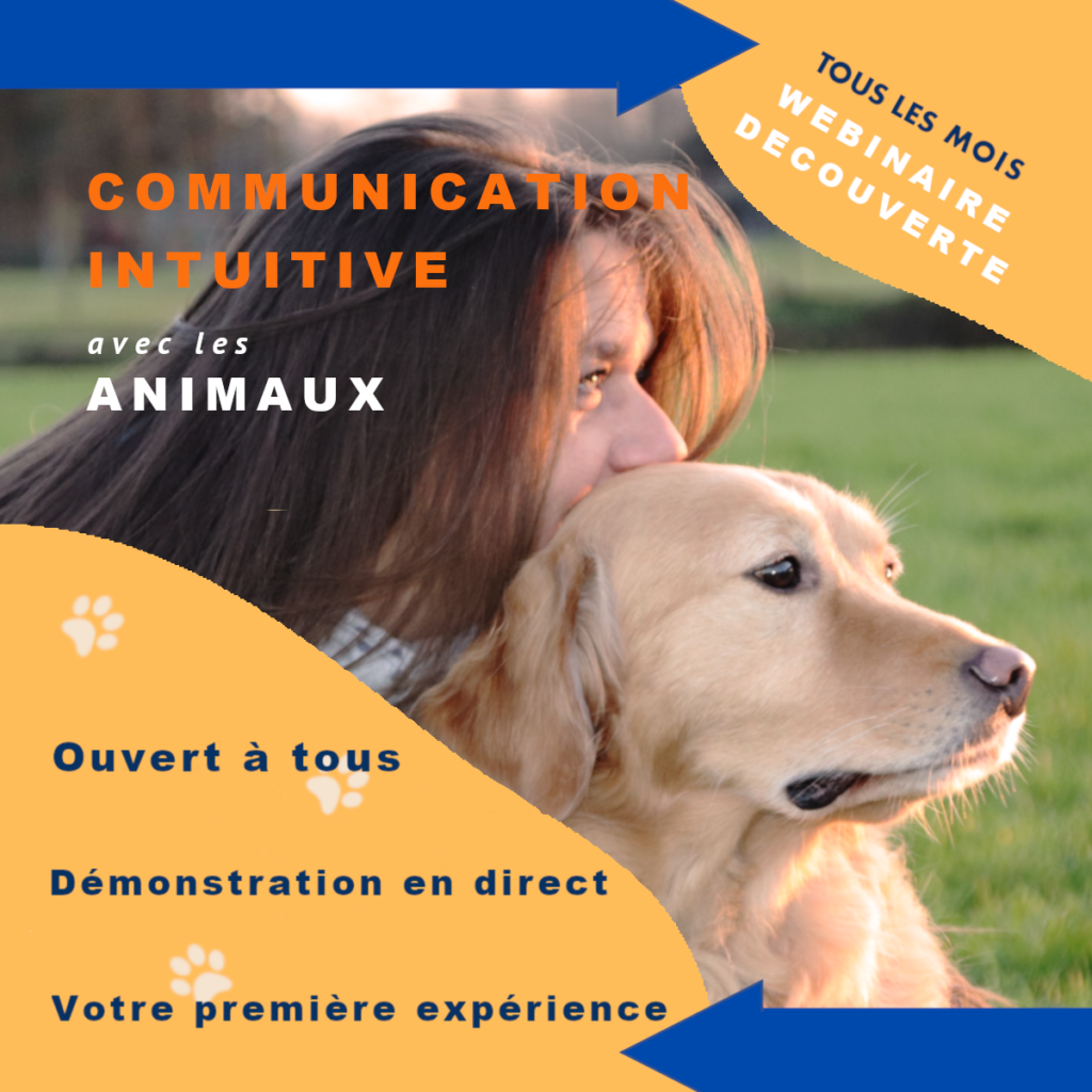 Communication Animale